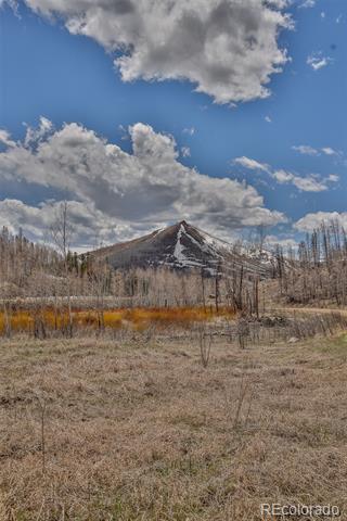 196 County Road 412