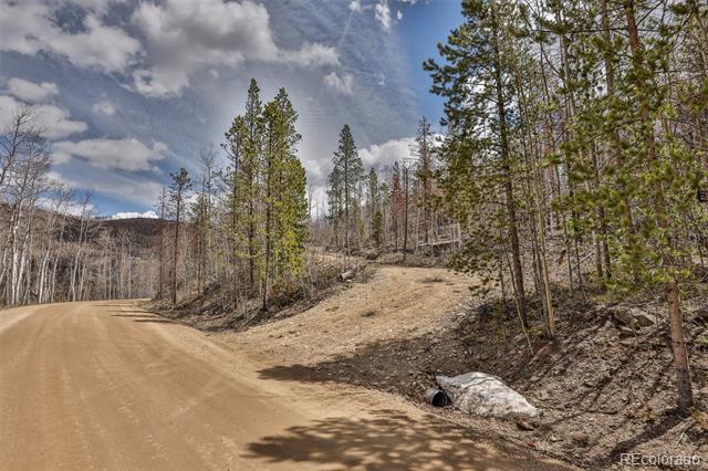 196 County Road 412