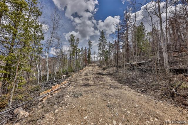 196 County Road 412