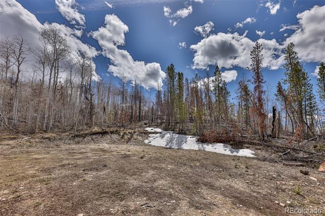 196 County Road 412
