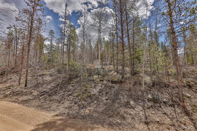 196 County Road 412