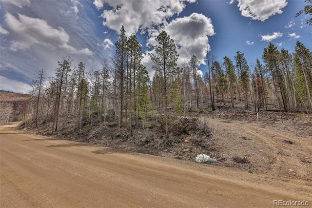 196 County Road 412
