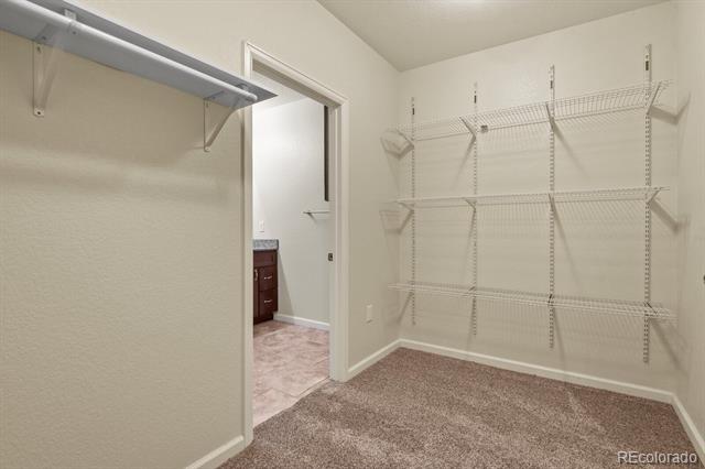 1010 Viewridge Road