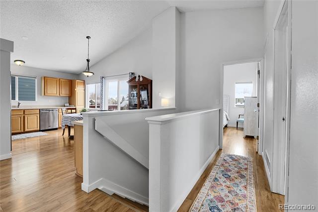 8754 Snowbird Way