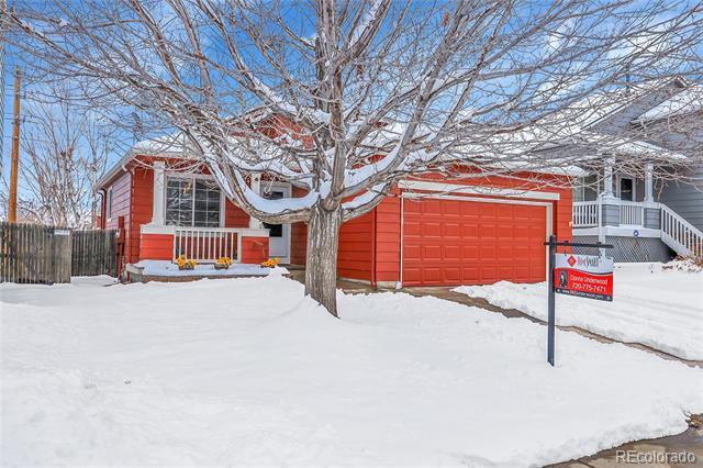 8754 Snowbird Way