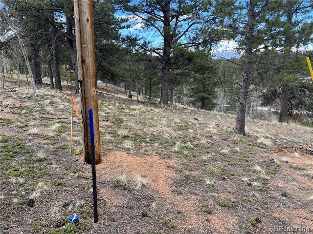 194 Rainbow Trail