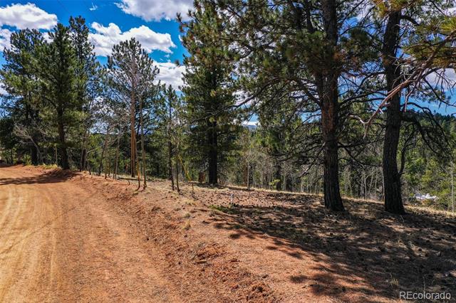 194 Rainbow Trail