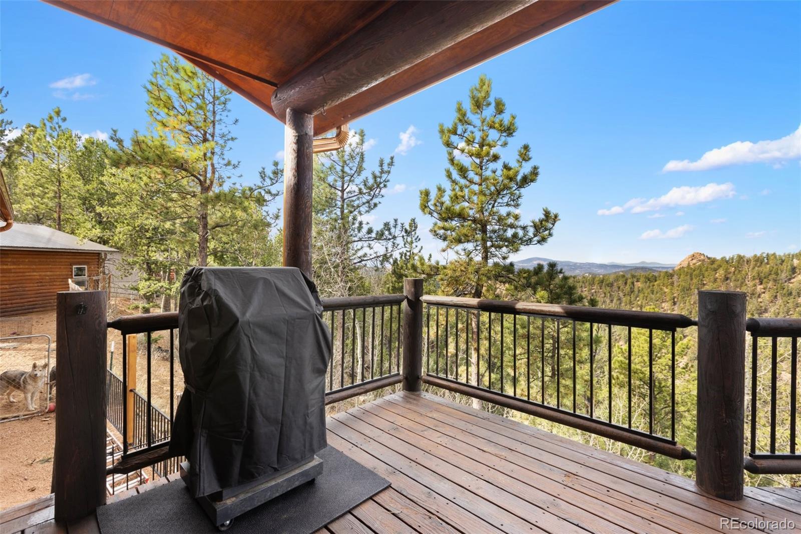 111 Blue Spruce Road