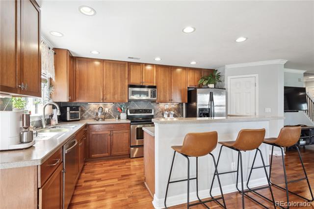 9066 Apache Plume Drive