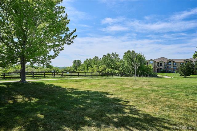 9066 Apache Plume Drive