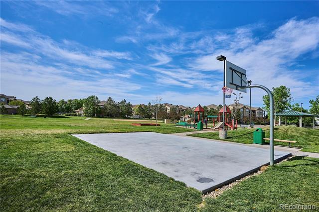 9066 Apache Plume Drive