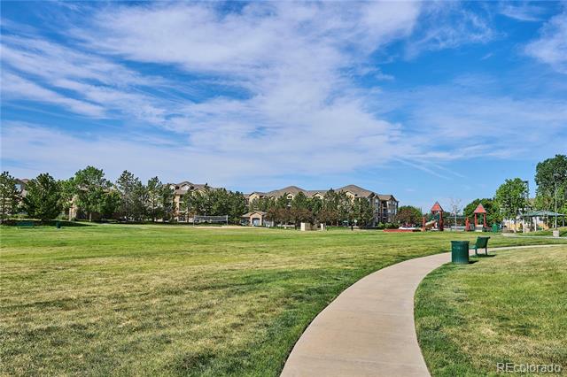 9066 Apache Plume Drive
