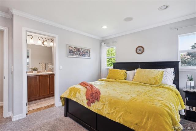 9066 Apache Plume Drive