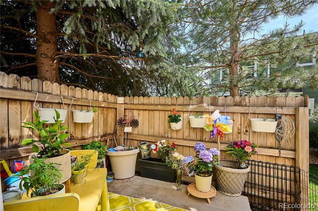 9066 Apache Plume Drive