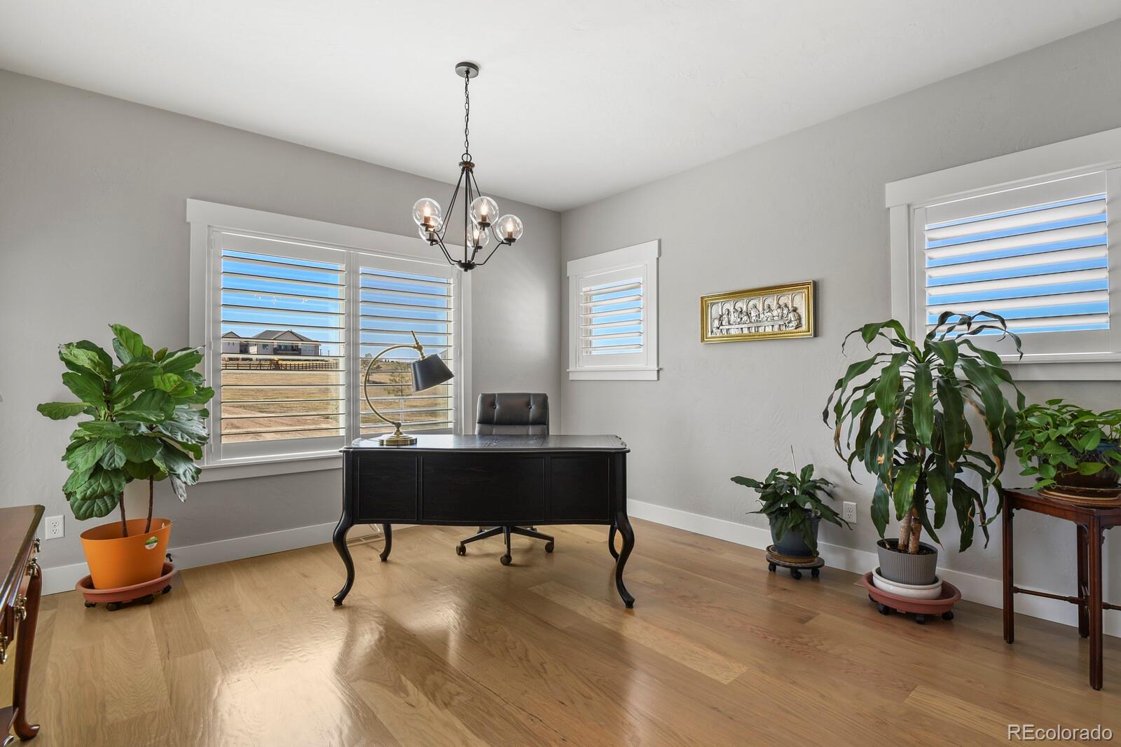 11073 Mosey Trail