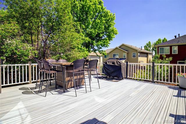 16084 Stonebriar Drive