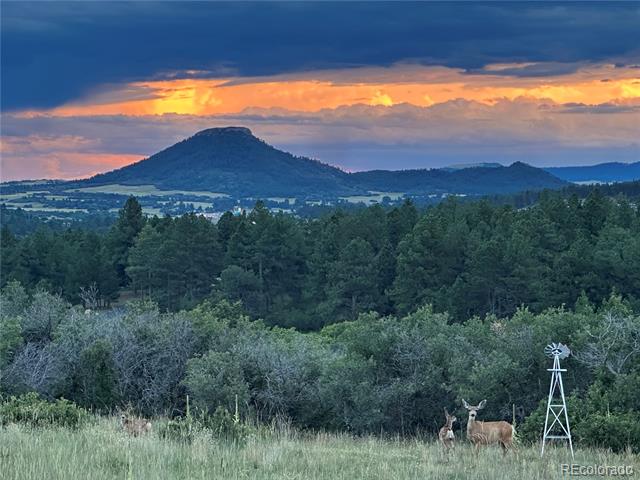 5800 Elk View Court