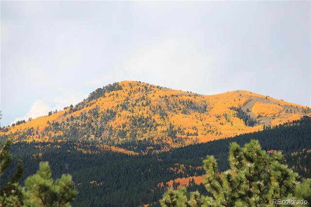 13 Paradise Valley Parkway