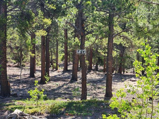13 Paradise Valley Parkway