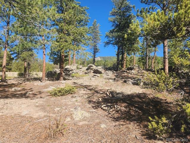 13 Paradise Valley Parkway
