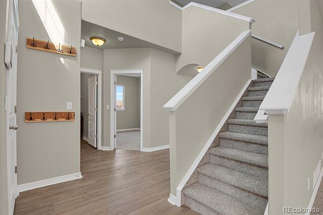5261 Tall Spruce Street