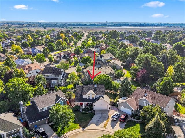 2624 Shavano Court