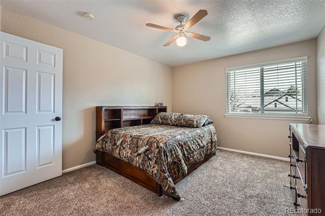 1045 English Sparrow Trail