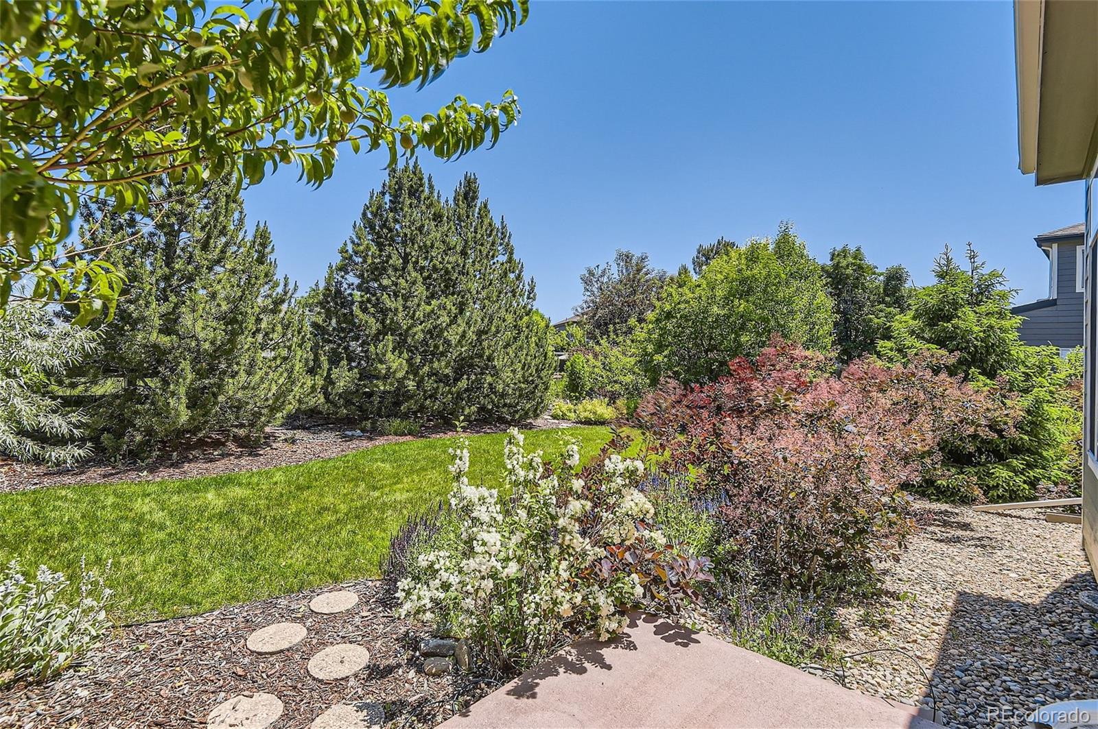 4223 Lark Sparrow Street