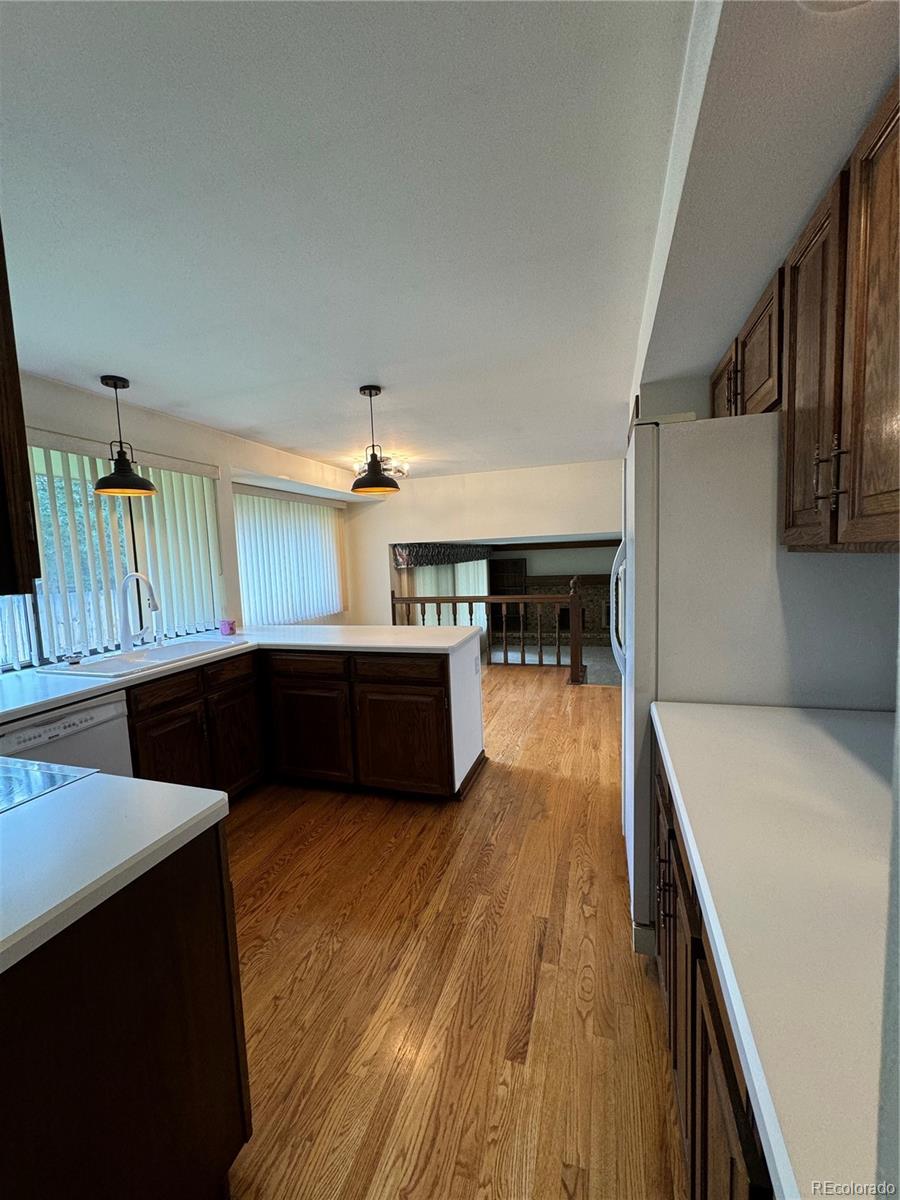 9810 Xavier Court