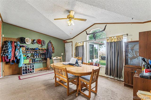 13746 County Road 8