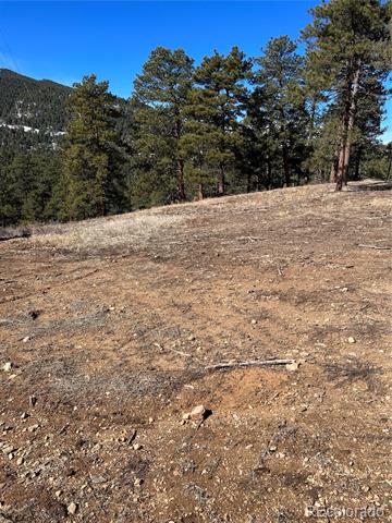Lot 1 Iowa Gulch Road