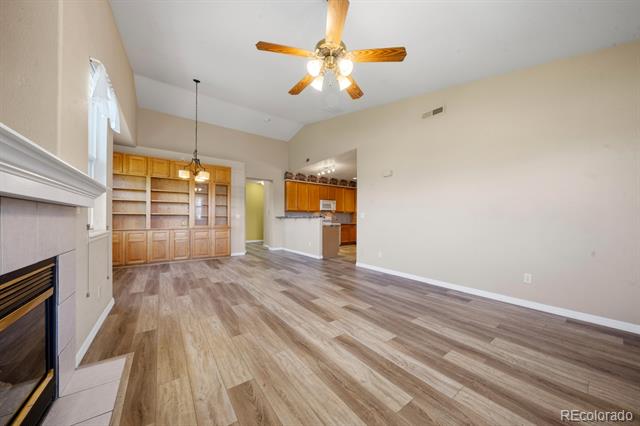 1335 Villa Grove