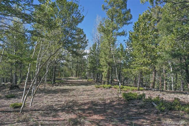 222 Fluorite Lane