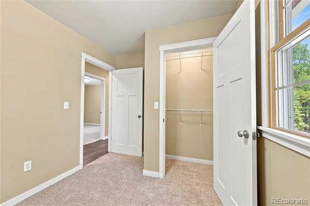 356 Gold Road