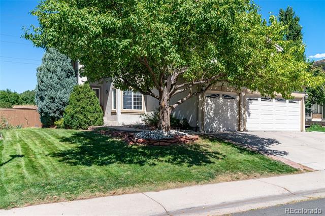 9157 Fox Fire Drive