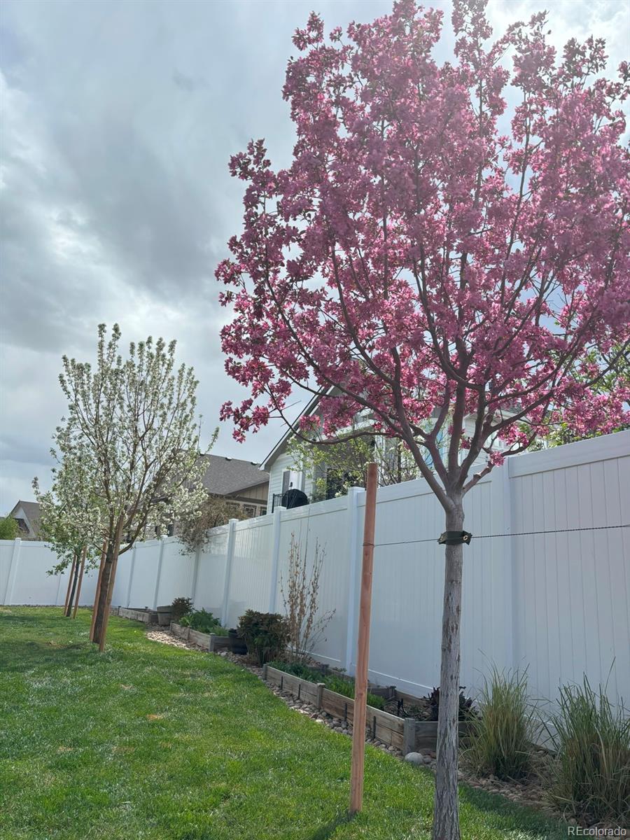 5744 Clarence Drive