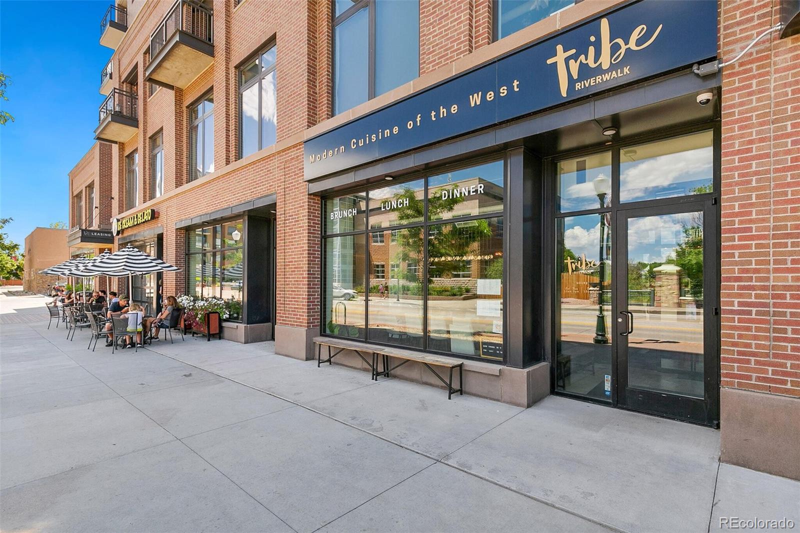 20 Wilcox Street Unit: 519