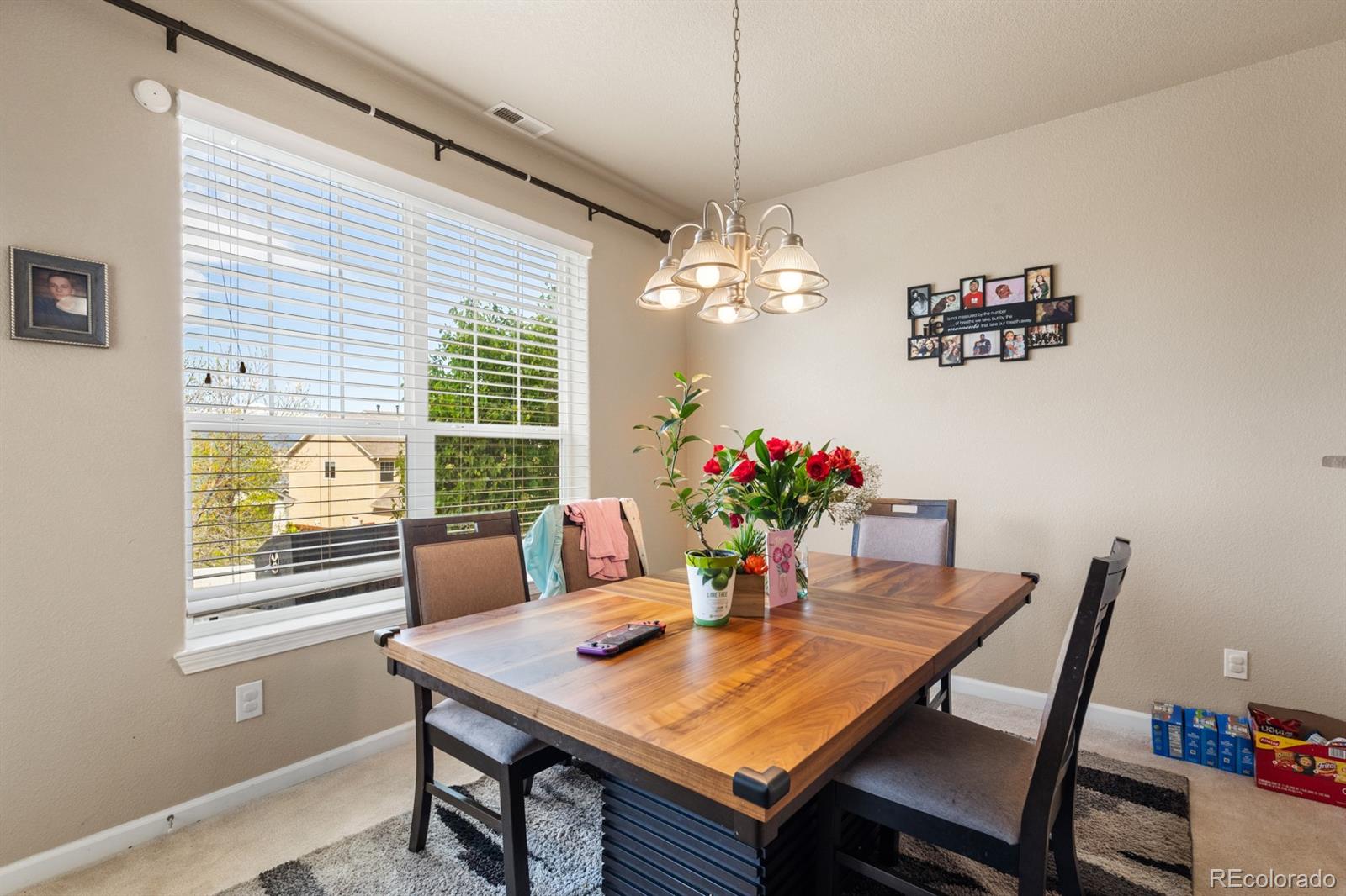 4290 Alder Springs View