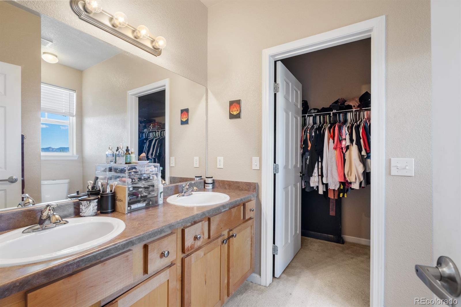 4290 Alder Springs View