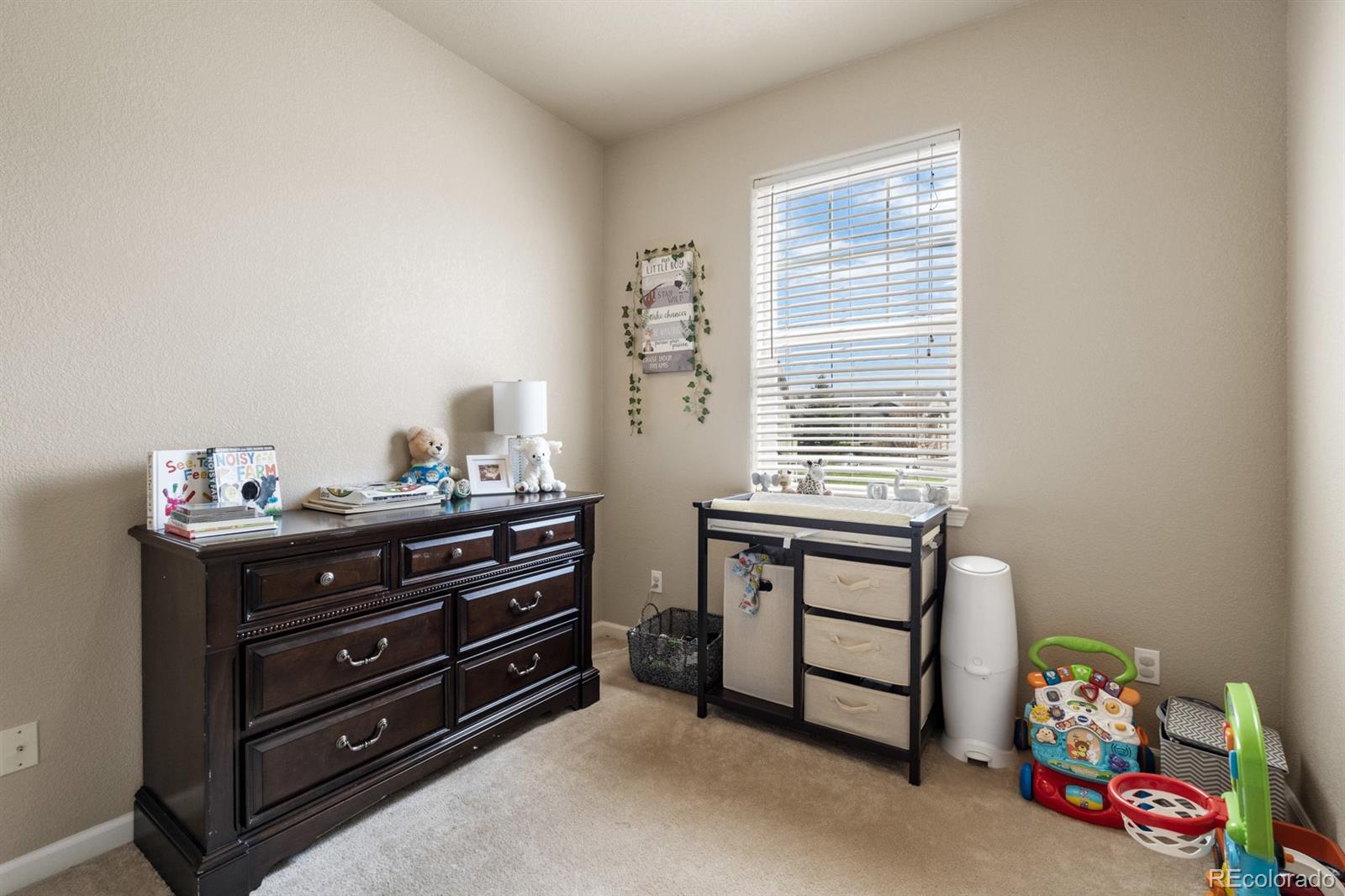 4290 Alder Springs View