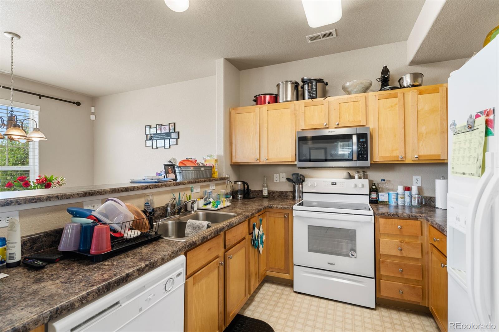 4290 Alder Springs View