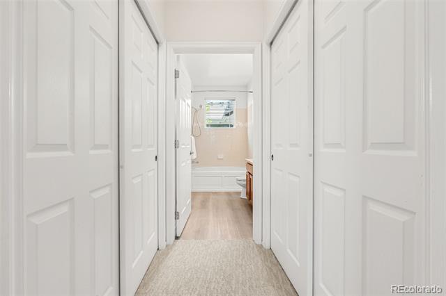 3329 Molly Lane