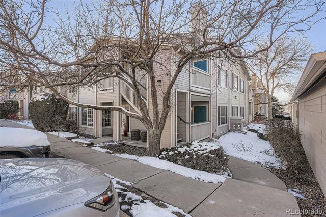 3722 Cactus Creek Court Unit: 103