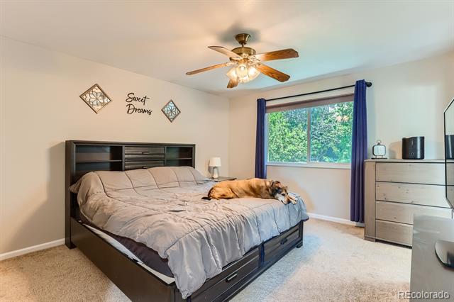 3686 S Yampa Way