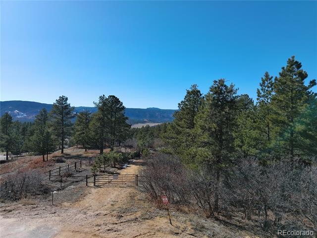 2137 Senecio Drive
