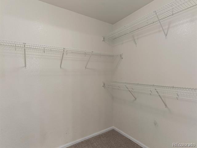 1811 Canvasback Drive
