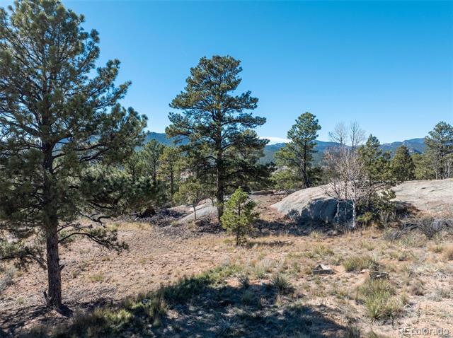 784 Crestridge Road