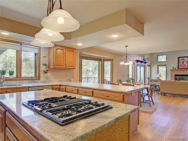 20380 Silver Horn Lane