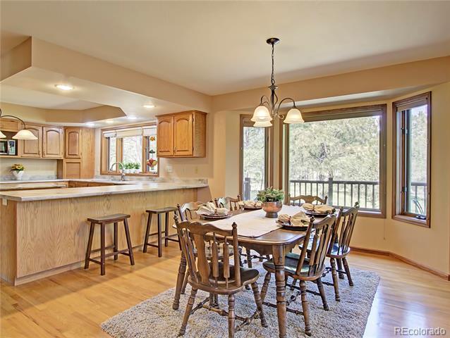 20380 Silver Horn Lane