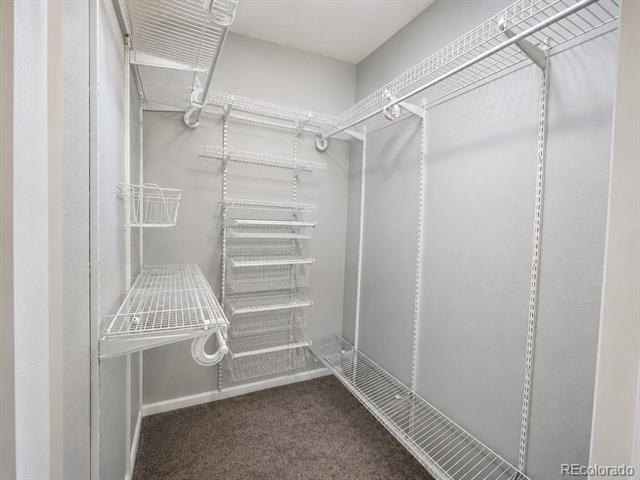 2917 W 81st Avenue Unit: F